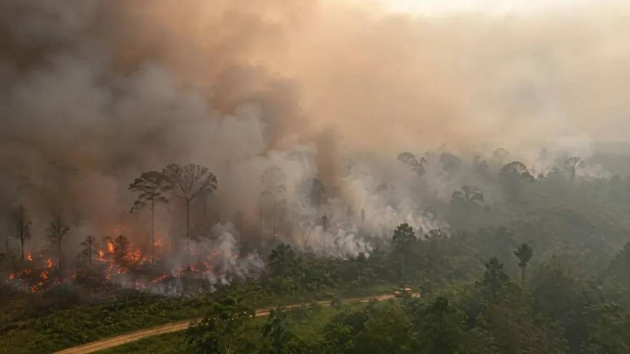 Gambar Kemarau dan Panas Ekstrem Picu Kebakaran di Berbagai Penjuru Dunia, Indonesia Ikut Waspada